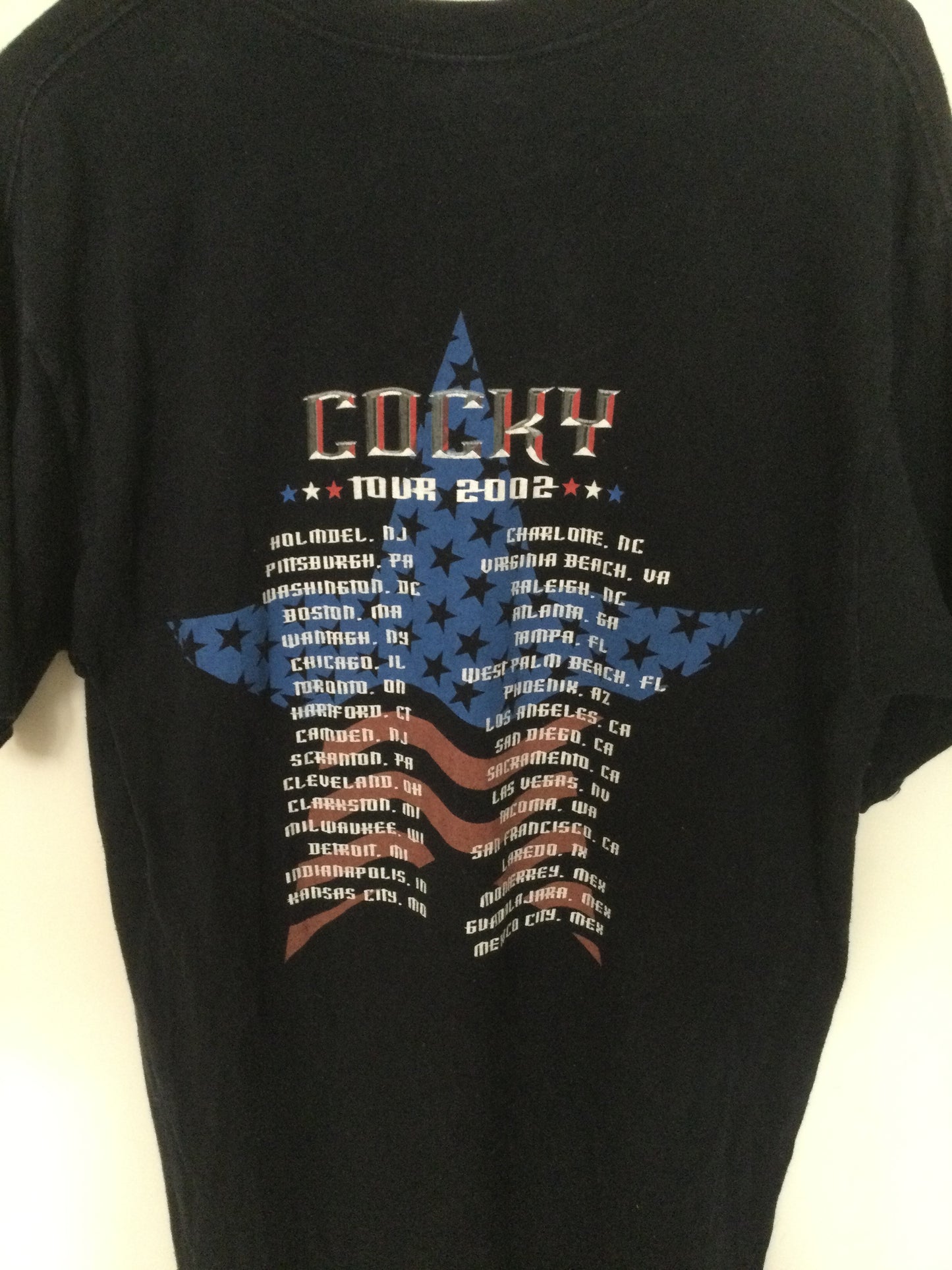 Kid Rock Concert Tee 2002 Sz M